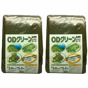 ^JCN@3000@ODO[V[g@3D6mx5D4m 2Zbg