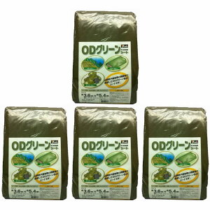 ^JCN@3000@ODO[V[g@3D6mx5D4m 4Zbg