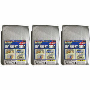 ^JCN@V[g@4000Vo[V[g@3D6×5D4 3Zbg