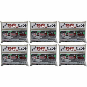 ƒ뉻wH - 30Zg - O[ - 4kg 6Zbg