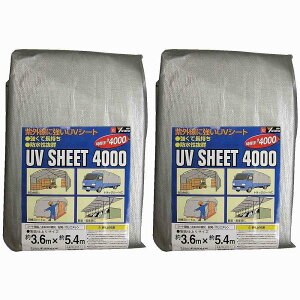 ^JCN@V[g@4000Vo[V[g@3D6×5D4 2Zbg