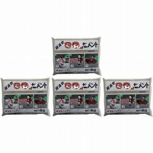 ƒ뉻wH - 30Zg - O[ - 4kg 4Zbg