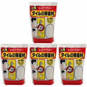 ƒ뉻wH - ^C̐ڒ - 1kg 4Zbg