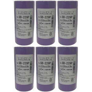 �J������H�� HC�@�J���C�@NO�DSB229P�@�a���e�[�v�@24�~���@5P AK-214 6�Z�b�g