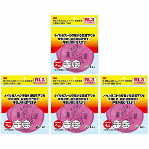 X[GWp(3M) - 2091 6000RLp ߍ 2P - 2091-HI 4Zbg