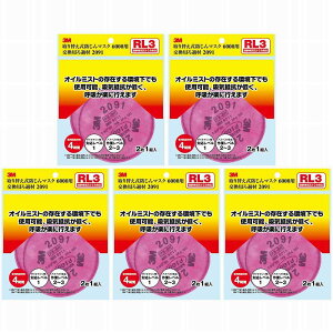 X[GWp(3M) - 2091 6000RLp ߍ 2P - 2091-HI 5Zbg