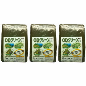 ^JCN@3000@ODO[V[g@3D6mx5D4m 3Zbg