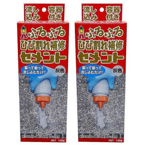 {~RY - ӂӂ ЂъC Zg Zbg - FHS-01 2Zbg