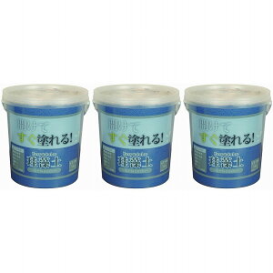 EB - EASYCOLOR - ]y - 5kg - lCr[u[ 3Zbg