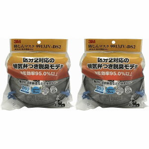 X[GWp(3M) - h}XN 9913JV-DS2 2 2Zbg