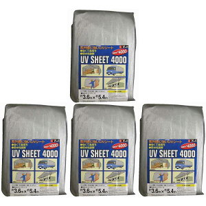 ^JCN@V[g@4000Vo[V[g@3D6×5D4 4Zbg