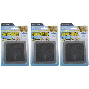 IWATANI@ni@Ԍ˕CV[g@O[`@2 3Zbg