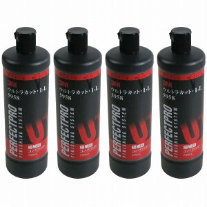 X[GWp(3M) - RpEh EgJbg 1-L 5958(750ml) 4Zbg