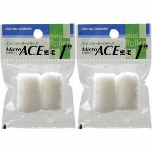 ˍѐ ~j[[ Micro ACE Z 6mm (2zP) 1MS-MIC 2Zbg