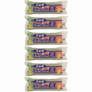 ˍѐ XJ[bgEX[[ 20mm X[ 6S-SC20 6" 6Zbg