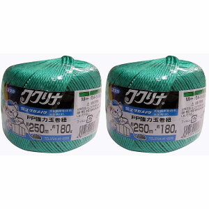 ^JCN@בR@͋ʊR@250ME180g@O[ 2Zbg