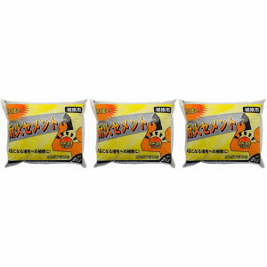 ƒ뉻wH - ω΃Zg - 2kg 3Zbg