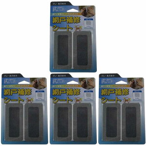 IWATANI@ni@Ԍ˕CV[g@O[`@4 4Zbg