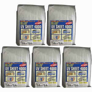 ^JCN@V[g@4000Vo[V[g@3D6×5D4 5Zbg