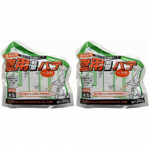 ƒ뉻wH - Ǘpyʃpe - 300g 2Zbg