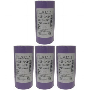�J������H�� HC�@�J���C�@NO�DSB229P�@�a���e�[�v�@24�~���@5P AK-214 4�Z�b�g