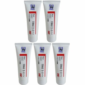 X[GWp(3M) - RpEhn[hE1 5981(350g) 5Zbg