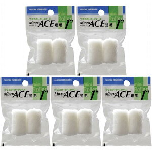 ˍѐ ~j[[ Micro ACE Z 6mm (2zP) 1MS-MIC 5Zbg