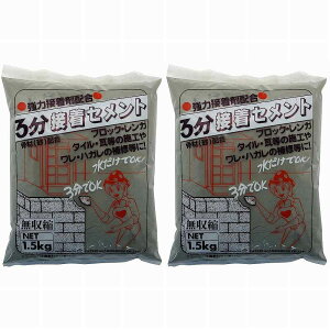 家庭化学工業 - 3分間接着セメント - 1.5kg 2個セット