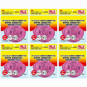 X[GWp(3M) - 2091 6000RLp ߍ 2P - 2091-HI 6Zbg