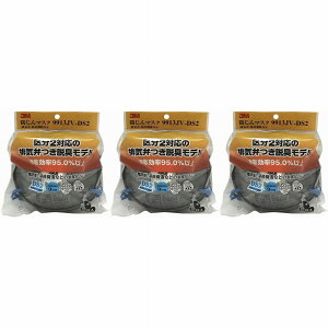 X[GWp(3M) - h}XN 9913JV-DS2 2 3Zbg