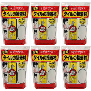 ƒ뉻wH - ^C̐ڒ - 1kg 6Zbg