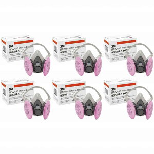 X[GWp(3M) - ւ h}XN 6000/2091-RL3 6Zbg