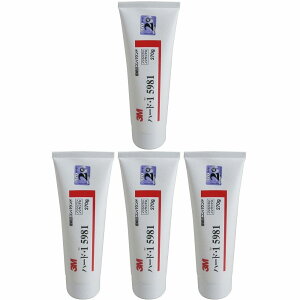 X[GWp(3M) - RpEhn[hE1 5981(350g) 4Zbg