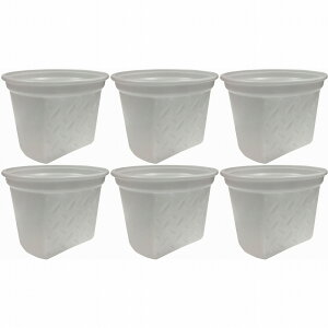 nfBENE - ʗp - nCubge 6Zbg