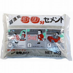 ƒ뉻wH - 30Zg - O[ - 1kg