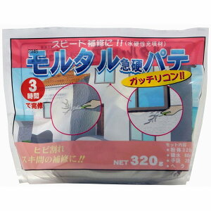 ƒ뉻wH - ^}dpe - 320g