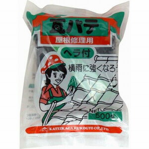 �ƒ뉻�w�H�� - ���p�e - �� - 500g