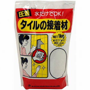 ƒ뉻wH - ^C̐ڒ - 1kg