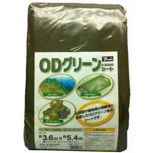 ^JCN@3000@ODO[V[g@3D6mx5D4m