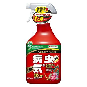 yyΉEzZFw|ijxjJXt@CXv[1000ML