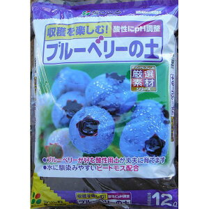 yyΉEzijԂu[x[̓y12L