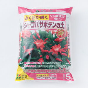 yyΉEzijԂVRoT{e̓y5L