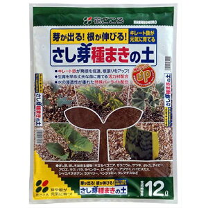 yyΉEzijԂ낳E܂̓y12L