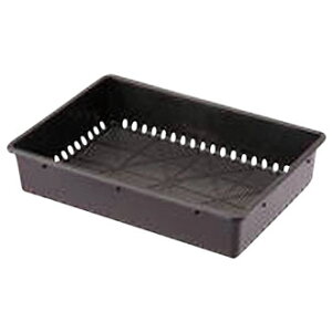 �y�����y�Ή��E���������z���S���Ɓi���j��c��51�^