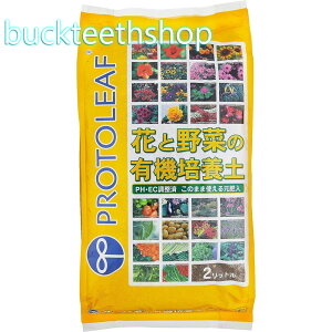 vg[t@ԂƖ؂̗L@|{y@2L@iP[tj