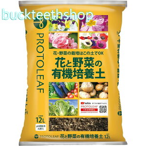 vg[t@ԂƖ؂̗L@|{y@12L