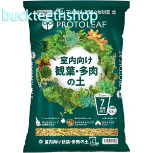 ϗtE̓y7p 3.5L vg[t |{y ϗtA |{y A |{y ϗtA y A y ϗtA̓y A̓y