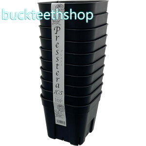 AbvEGA@vXe105@10gubN@y80z4539920901730