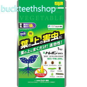 GV[Ή@g{DL@1kg@iGV[j