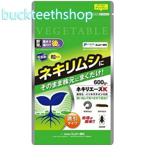 GV[Ή@lLG[XK@600g@iGV[j